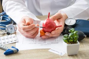 At doctors appointment, physician shows to patient shape of urine bladder.